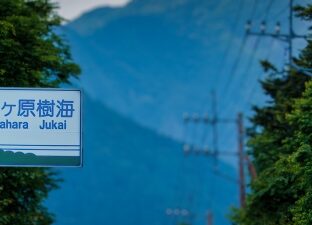 樹海肝試しで本当にあった怖い話心霊スポットは帰った後も注意が必要